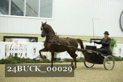 24BUCK_00029 thumbnail
