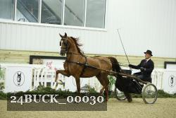 24BUCK_00030 thumbnail