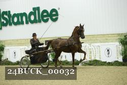 24BUCK_00032 thumbnail