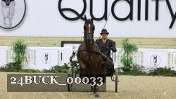 24BUCK_00033 thumbnail