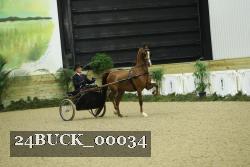 24BUCK_00034 thumbnail