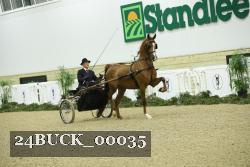 24BUCK_00035 thumbnail