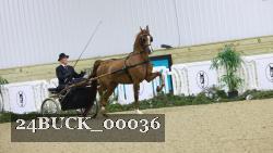 24BUCK_00036 thumbnail