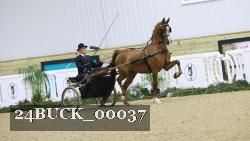 24BUCK_00037 thumbnail