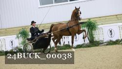 24BUCK_00038 thumbnail