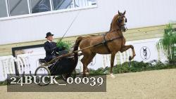 24BUCK_00039 thumbnail