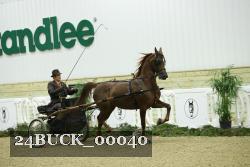 24BUCK_00040 thumbnail
