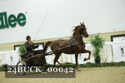 24BUCK_00042 thumbnail