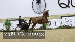24BUCK_00043 thumbnail