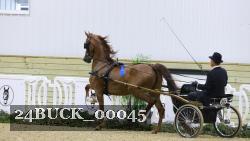 24BUCK_00045 thumbnail