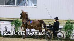 24BUCK_00046 thumbnail