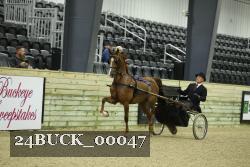 24BUCK_00047 thumbnail