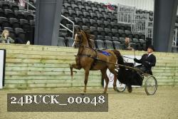 24BUCK_00048 thumbnail