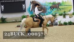 24BUCK_00057 thumbnail