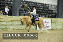 24BUCK_00063 thumbnail