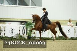 24BUCK_00069 thumbnail