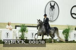 24BUCK_00070 thumbnail