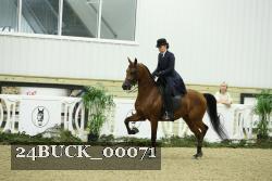 24BUCK_00071 thumbnail