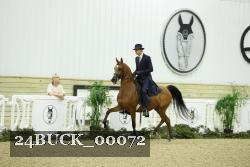 24BUCK_00072 thumbnail