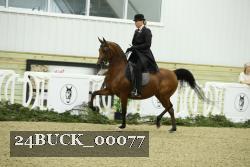 24BUCK_00077 thumbnail