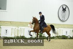 24BUCK_00081 thumbnail