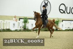24BUCK_00082 thumbnail