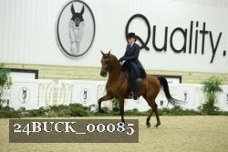 24BUCK_00085 thumbnail