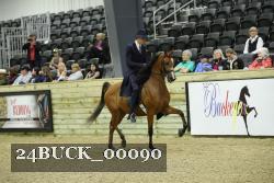 24BUCK_00090 thumbnail