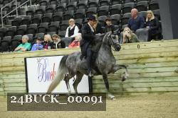 24BUCK_00091 thumbnail