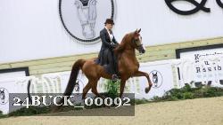 24BUCK_00092 thumbnail