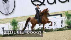 24BUCK_00093 thumbnail