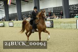 24BUCK_00094 thumbnail