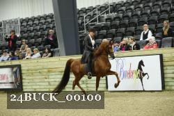 24BUCK_00100 thumbnail