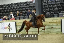 24BUCK_00101 thumbnail