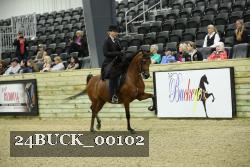 24BUCK_00102 thumbnail