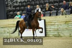 24BUCK_00103 thumbnail