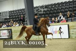 24BUCK_00105 thumbnail