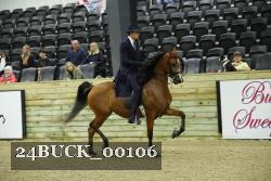 24BUCK_00106 thumbnail
