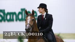 24BUCK_00110 thumbnail
