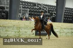 24BUCK_00117 thumbnail