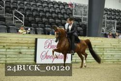 24BUCK_00120 thumbnail