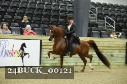24BUCK_00121 thumbnail