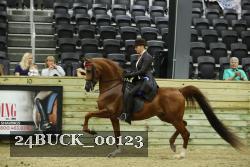 24BUCK_00123 thumbnail