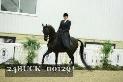 24BUCK_00129 thumbnail