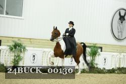 24BUCK_00130 thumbnail