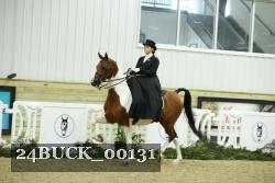 24BUCK_00131 thumbnail