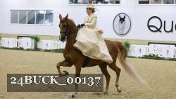 24BUCK_00137 thumbnail