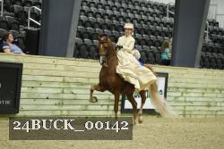 24BUCK_00142 thumbnail