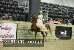 24BUCK_00143 thumbnail