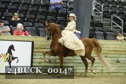 24BUCK_00147 thumbnail